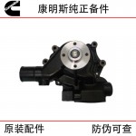 Cummins B3.3 Engineering Machinery Diesel Engine Parts 3800883 C6204611600 5301482 Water Pump Assembly